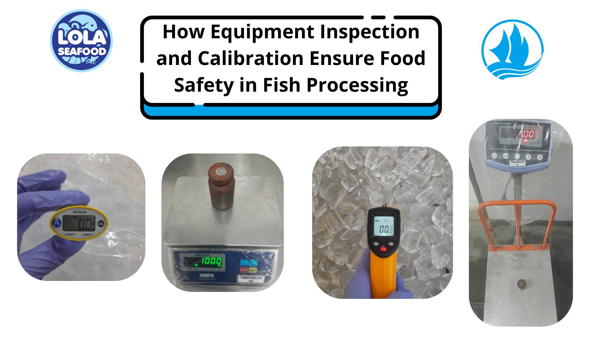  How Equipment Inspection and Calibration Ensure Food Safety in Fish Processing